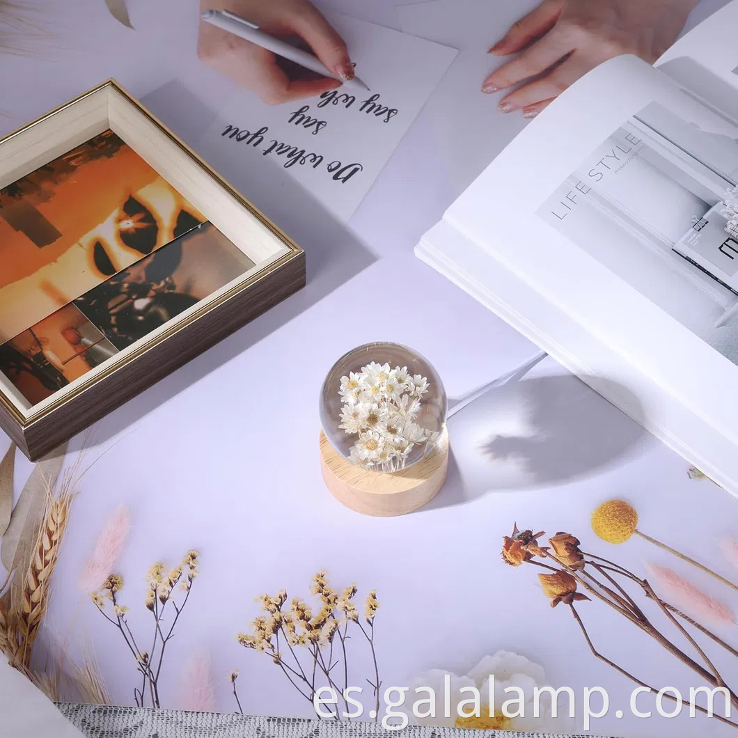 Luz eterna de la noche de flores, el regalo que nunca se marchita